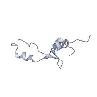 8281_5kpw_4_v1-4
Structure of RelA bound to ribosome in presence of A/R tRNA (Structure III)