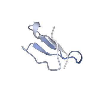 8281_5kpw_5_v1-4
Structure of RelA bound to ribosome in presence of A/R tRNA (Structure III)