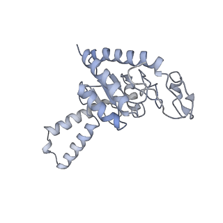 8281_5kpw_6_v1-4
Structure of RelA bound to ribosome in presence of A/R tRNA (Structure III)