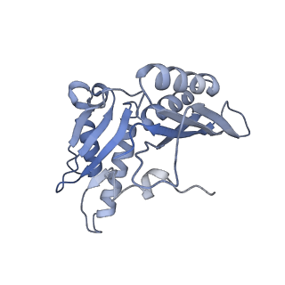 8281_5kpw_7_v1-4
Structure of RelA bound to ribosome in presence of A/R tRNA (Structure III)
