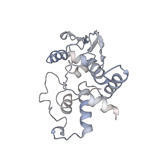 8281_5kpw_8_v1-4
Structure of RelA bound to ribosome in presence of A/R tRNA (Structure III)