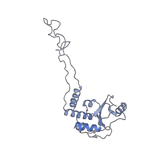 8281_5kpw_C_v1-4
Structure of RelA bound to ribosome in presence of A/R tRNA (Structure III)