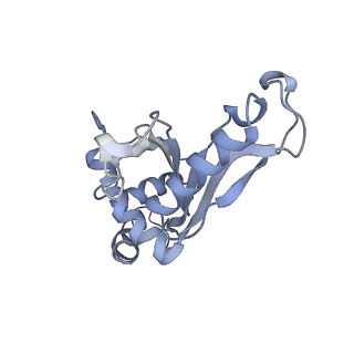 8281_5kpw_D_v1-4
Structure of RelA bound to ribosome in presence of A/R tRNA (Structure III)