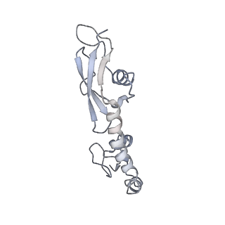8281_5kpw_F_v1-4
Structure of RelA bound to ribosome in presence of A/R tRNA (Structure III)