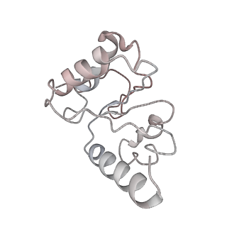 8281_5kpw_G_v1-4
Structure of RelA bound to ribosome in presence of A/R tRNA (Structure III)