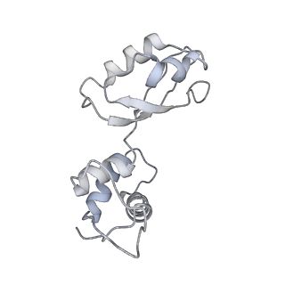 8281_5kpw_H_v1-4
Structure of RelA bound to ribosome in presence of A/R tRNA (Structure III)