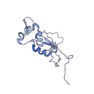 8281_5kpw_I_v1-4
Structure of RelA bound to ribosome in presence of A/R tRNA (Structure III)