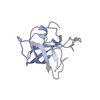 8281_5kpw_J_v1-4
Structure of RelA bound to ribosome in presence of A/R tRNA (Structure III)