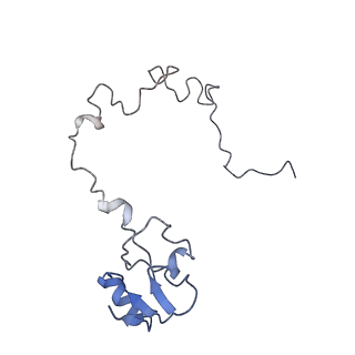 8281_5kpw_K_v1-4
Structure of RelA bound to ribosome in presence of A/R tRNA (Structure III)