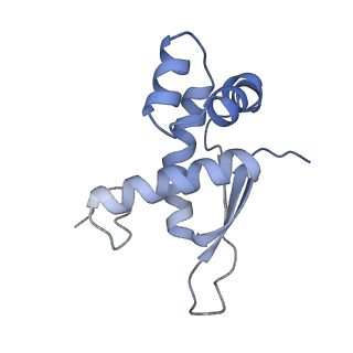 8281_5kpw_M_v1-4
Structure of RelA bound to ribosome in presence of A/R tRNA (Structure III)