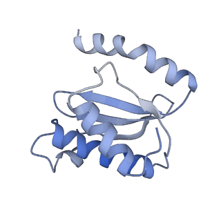8281_5kpw_N_v1-4
Structure of RelA bound to ribosome in presence of A/R tRNA (Structure III)
