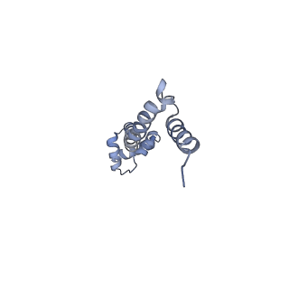 8281_5kpw_P_v1-4
Structure of RelA bound to ribosome in presence of A/R tRNA (Structure III)