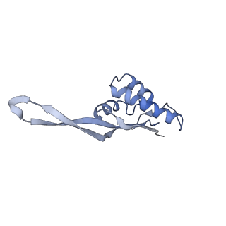 8281_5kpw_R_v1-4
Structure of RelA bound to ribosome in presence of A/R tRNA (Structure III)