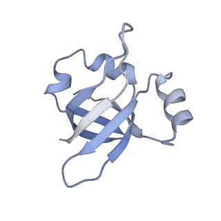 8281_5kpw_U_v1-4
Structure of RelA bound to ribosome in presence of A/R tRNA (Structure III)