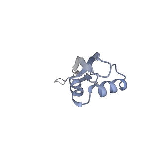 8281_5kpw_W_v1-4
Structure of RelA bound to ribosome in presence of A/R tRNA (Structure III)