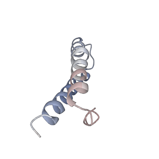 8281_5kpw_X_v1-4
Structure of RelA bound to ribosome in presence of A/R tRNA (Structure III)