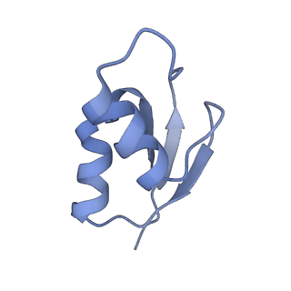 8281_5kpw_Y_v1-4
Structure of RelA bound to ribosome in presence of A/R tRNA (Structure III)