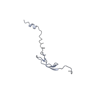 8281_5kpw_Z_v1-4
Structure of RelA bound to ribosome in presence of A/R tRNA (Structure III)
