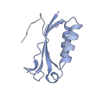 8282_5kpx_10_v1-4
Structure of RelA bound to ribosome in presence of A/R tRNA (Structure IV)