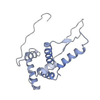 8282_5kpx_11_v1-4
Structure of RelA bound to ribosome in presence of A/R tRNA (Structure IV)