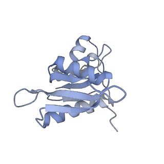 8282_5kpx_12_v1-4
Structure of RelA bound to ribosome in presence of A/R tRNA (Structure IV)