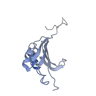 8282_5kpx_15_v1-4
Structure of RelA bound to ribosome in presence of A/R tRNA (Structure IV)