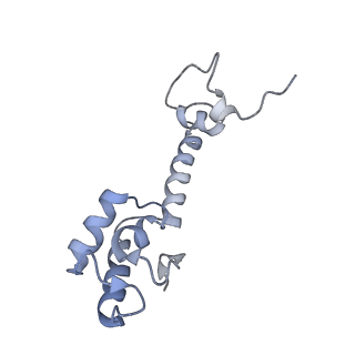 8282_5kpx_17_v1-4
Structure of RelA bound to ribosome in presence of A/R tRNA (Structure IV)