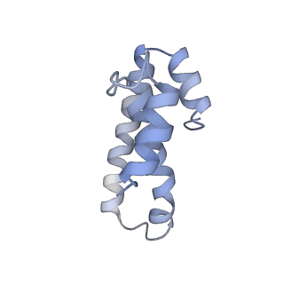 8282_5kpx_19_v1-4
Structure of RelA bound to ribosome in presence of A/R tRNA (Structure IV)