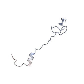 8282_5kpx_1_v1-4
Structure of RelA bound to ribosome in presence of A/R tRNA (Structure IV)