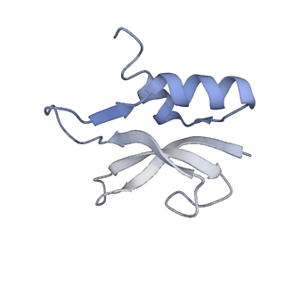 8282_5kpx_20_v1-4
Structure of RelA bound to ribosome in presence of A/R tRNA (Structure IV)