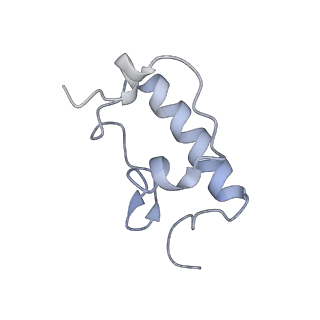 8282_5kpx_22_v1-4
Structure of RelA bound to ribosome in presence of A/R tRNA (Structure IV)