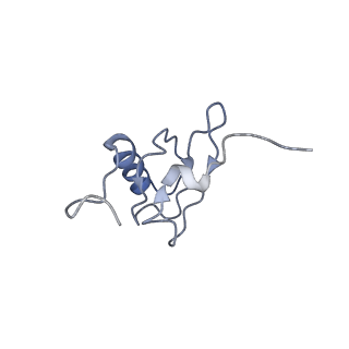 8282_5kpx_23_v1-4
Structure of RelA bound to ribosome in presence of A/R tRNA (Structure IV)