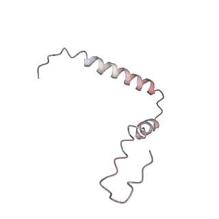 8282_5kpx_25_v1-4
Structure of RelA bound to ribosome in presence of A/R tRNA (Structure IV)