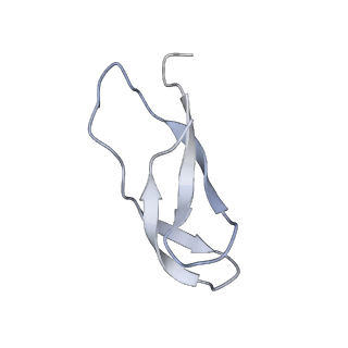 8282_5kpx_2_v1-4
Structure of RelA bound to ribosome in presence of A/R tRNA (Structure IV)