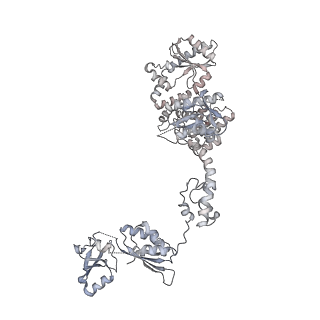8282_5kpx_33_v1-4
Structure of RelA bound to ribosome in presence of A/R tRNA (Structure IV)