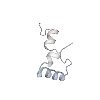 8282_5kpx_3_v1-4
Structure of RelA bound to ribosome in presence of A/R tRNA (Structure IV)