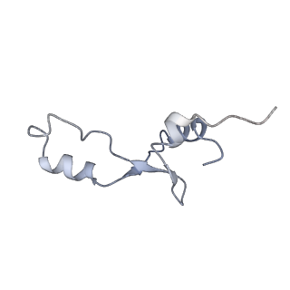 8282_5kpx_4_v1-4
Structure of RelA bound to ribosome in presence of A/R tRNA (Structure IV)