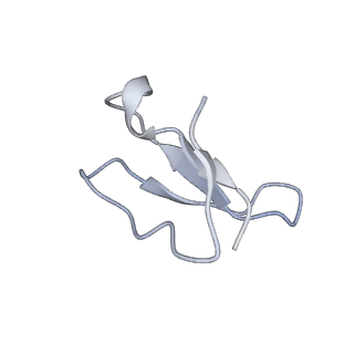 8282_5kpx_5_v1-4
Structure of RelA bound to ribosome in presence of A/R tRNA (Structure IV)