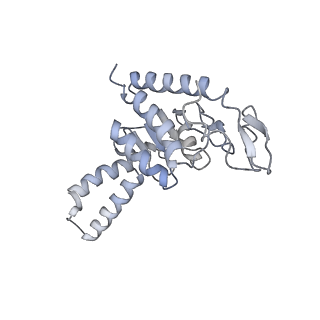 8282_5kpx_6_v1-4
Structure of RelA bound to ribosome in presence of A/R tRNA (Structure IV)