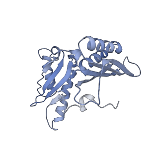 8282_5kpx_7_v1-4
Structure of RelA bound to ribosome in presence of A/R tRNA (Structure IV)