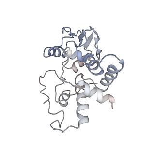 8282_5kpx_8_v1-4
Structure of RelA bound to ribosome in presence of A/R tRNA (Structure IV)