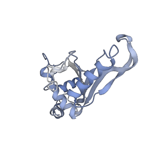 8282_5kpx_D_v1-4
Structure of RelA bound to ribosome in presence of A/R tRNA (Structure IV)