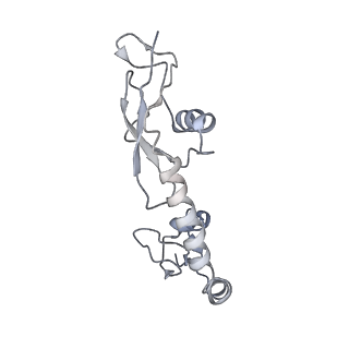 8282_5kpx_F_v1-4
Structure of RelA bound to ribosome in presence of A/R tRNA (Structure IV)