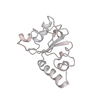 8282_5kpx_G_v1-4
Structure of RelA bound to ribosome in presence of A/R tRNA (Structure IV)
