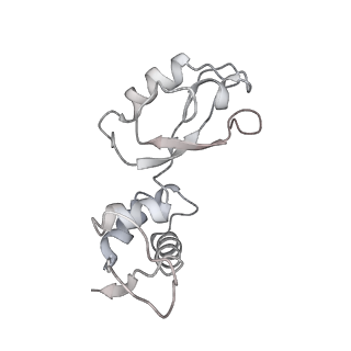 8282_5kpx_H_v1-4
Structure of RelA bound to ribosome in presence of A/R tRNA (Structure IV)