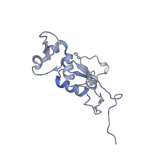 8282_5kpx_I_v1-4
Structure of RelA bound to ribosome in presence of A/R tRNA (Structure IV)