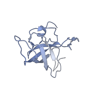 8282_5kpx_J_v1-4
Structure of RelA bound to ribosome in presence of A/R tRNA (Structure IV)