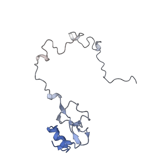 8282_5kpx_K_v1-4
Structure of RelA bound to ribosome in presence of A/R tRNA (Structure IV)