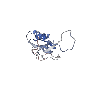 8282_5kpx_L_v1-4
Structure of RelA bound to ribosome in presence of A/R tRNA (Structure IV)