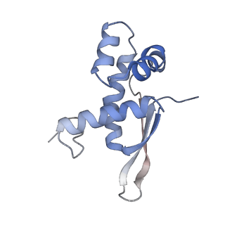 8282_5kpx_M_v1-4
Structure of RelA bound to ribosome in presence of A/R tRNA (Structure IV)